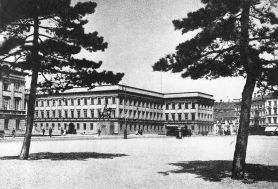 Sosny na Placu Saskim.