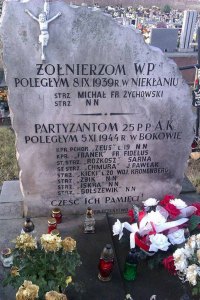 Niekłań Wielki, cmentarz parafialny. Tu spoczywa ostatni, męski potomek Leopolda Stanisława Kronenberga. Foto. Radosław Nowek