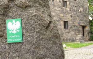 Głaz narzutowy pomnik przyrody.