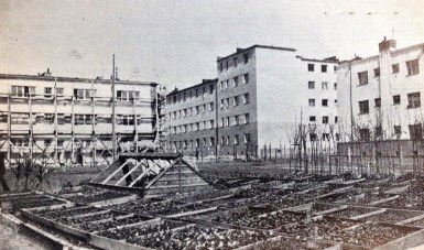 31488026221_c68b90d77f_c